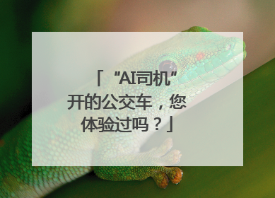 “AI司机”开的公交车，您体验过吗？