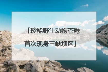 珍稀野生动物苍鹰首次现身三峡坝区