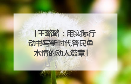 王璐璐：用实际行动书写新时代警民鱼水情的动人篇章