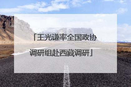 王光谦率全国政协调研组赴西藏调研