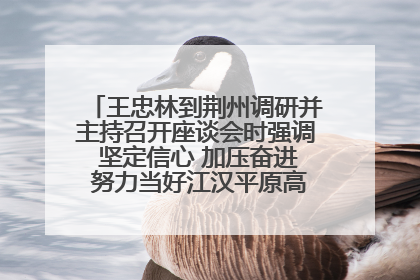 王忠林到荆州调研并主持召开座谈会时强调 坚定信心 加压奋进 努力当好江汉平原高质量发展排头兵
