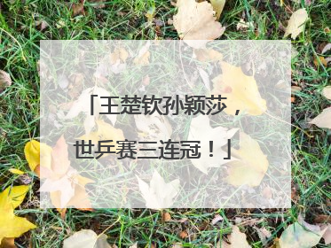 王楚钦孙颖莎，世乒赛三连冠！