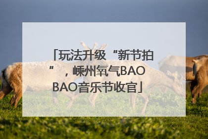 玩法升级“新节拍”，嵊州氧气BAOBAO音乐节收官