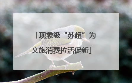 现象级“苏超”为文旅消费拉活促新