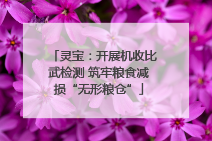 灵宝：开展机收比武检测 筑牢粮食减损“无形粮仓”