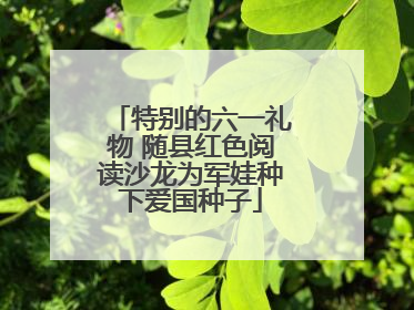 特别的六一礼物 随县红色阅读沙龙为军娃种下爱国种子