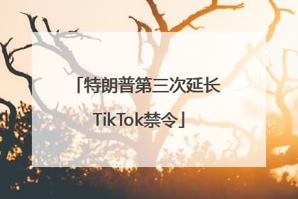 特朗普第三次延长TikTok禁令