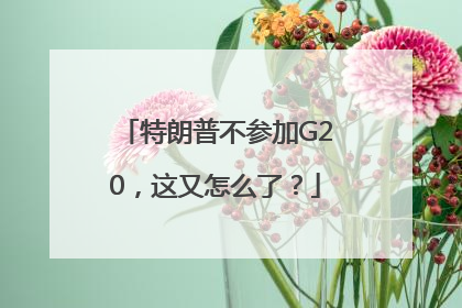 特朗普不参加G20，这又怎么了？