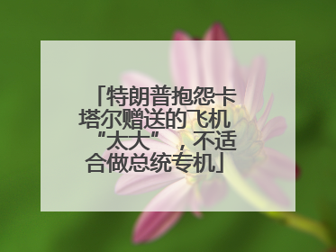 特朗普抱怨卡塔尔赠送的飞机“太大”，不适合做总统专机