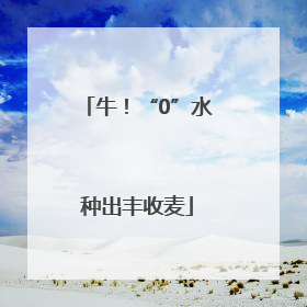 牛！“0”水种出丰收麦