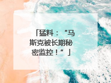 猛料：“马斯克被长期秘密监控！”