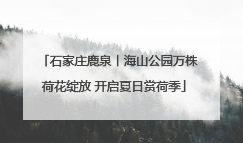 石家庄鹿泉丨海山公园万株荷花绽放 开启夏日赏荷季