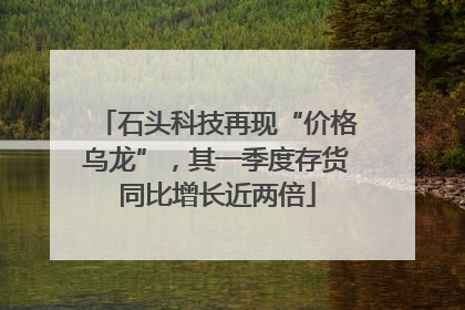 石头科技再现“价格乌龙”，其一季度存货同比增长近两倍