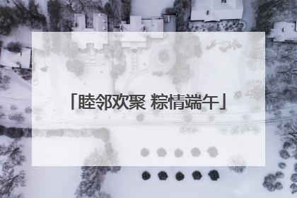 睦邻欢聚 粽情端午