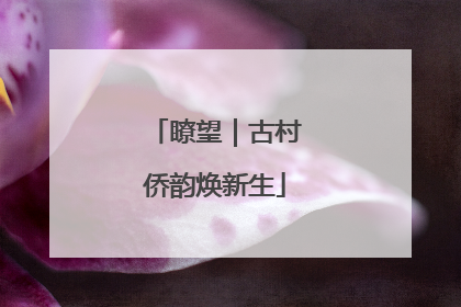瞭望｜古村侨韵焕新生