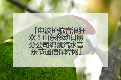 电波护航音浪狂欢！山东移动日照分公司织就汽水音乐节通信保障网