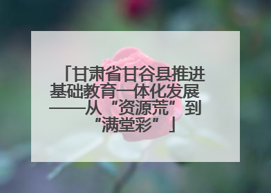 甘肃省甘谷县推进基础教育一体化发展——从“资源荒”到“满堂彩”