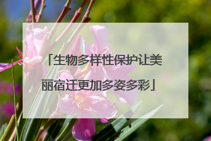 生物多样性保护让美丽宿迁更加多姿多彩