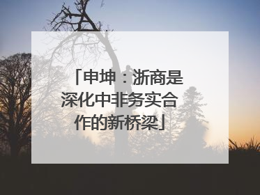 申坤：浙商是深化中非务实合作的新桥梁