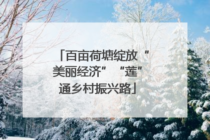百亩荷塘绽放“美丽经济”“莲”通乡村振兴路