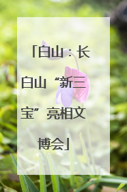 白山：长白山“新三宝”亮相文博会
