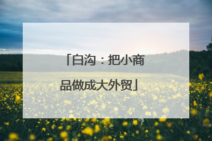 白沟：把小商品做成大外贸