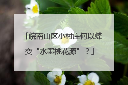 皖南山区小村庄何以蝶变“水墨桃花源”？