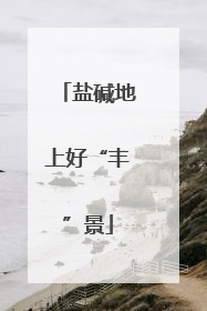 盐碱地上好“丰”景