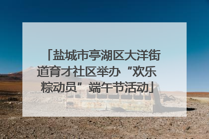 盐城市亭湖区大洋街道育才社区举办“欢乐粽动员”端午节活动