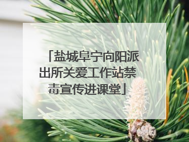 盐城阜宁向阳派出所关爱工作站禁毒宣传进课堂
