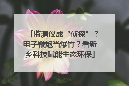 监测仪成“侦探”？电子鞭炮当爆竹？看新乡科技赋能生态环保