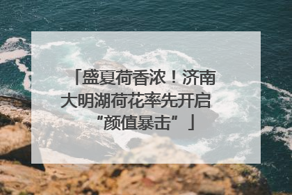 盛夏荷香浓！济南大明湖荷花率先开启“颜值暴击”