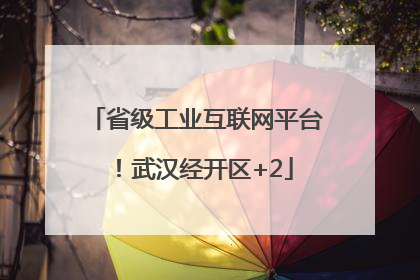省级工业互联网平台！武汉经开区+2