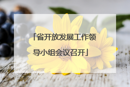 省开放发展工作领导小组会议召开