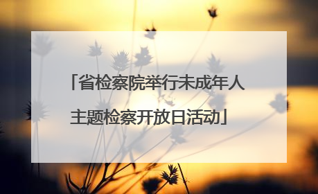 省检察院举行未成年人主题检察开放日活动