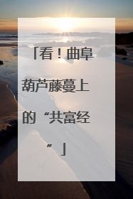 看！曲阜葫芦藤蔓上的“共富经”