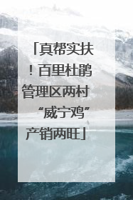 真帮实扶！百里杜鹃管理区两村“威宁鸡”产销两旺