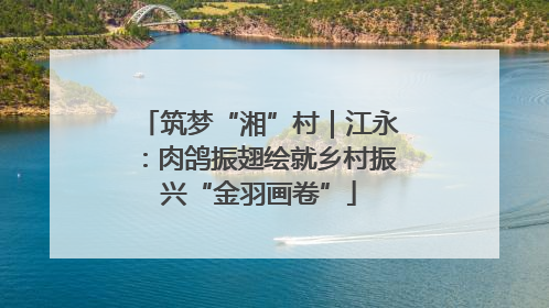 筑梦“湘”村｜江永：肉鸽振翅绘就乡村振兴“金羽画卷”