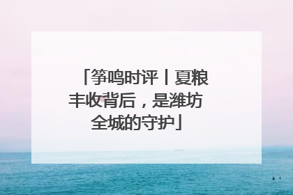 筝鸣时评丨夏粮丰收背后，是潍坊全城的守护