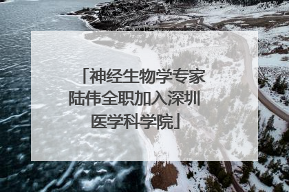 神经生物学专家陆伟全职加入深圳医学科学院