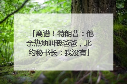 离谱！特朗普：他亲热地叫我爸爸，北约秘书长：我没有