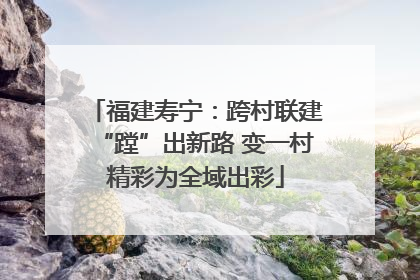 福建寿宁：跨村联建“蹚”出新路 变一村精彩为全域出彩