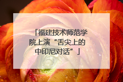 福建技术师范学院上演“舌尖上的中印尼对话”