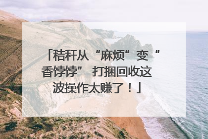 秸秆从“麻烦”变“香饽饽” 打捆回收这波操作太赚了！