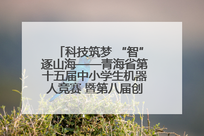 科技筑梦 “智”逐山海——青海省第十五届中小学生机器人竞赛 暨第八届创新设计大赛见闻