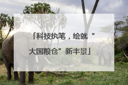 科技执笔，绘就“大国粮仓”新丰景