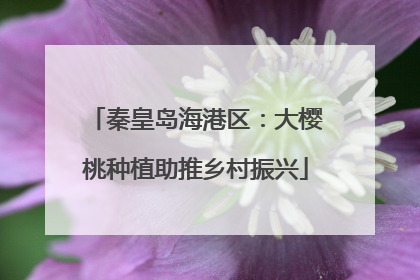 秦皇岛海港区：大樱桃种植助推乡村振兴