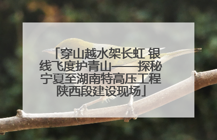 穿山越水架长虹 银线飞度护青山——探秘宁夏至湖南特高压工程陕西段建设现场