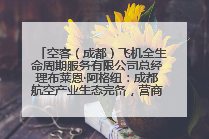 空客（成都）飞机全生命周期服务有限公司总经理布莱恩·阿格纽：成都航空产业生态完备，营商环境优势显著