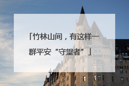 竹林山间，有这样一群平安“守望者”